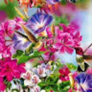 Meet your Posher, Reyna